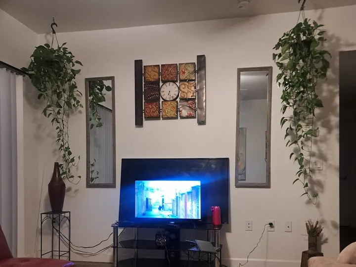 Living room with a television, wall art and hanging plants