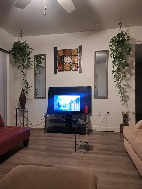 Living room with a television, wall art and hanging plants
