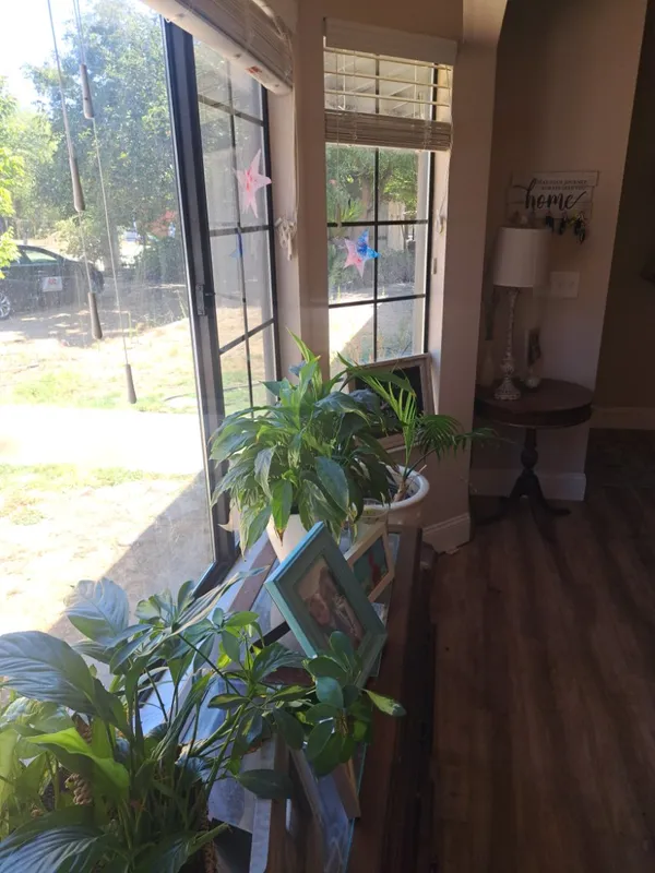 Window with houseplants and a wood floor